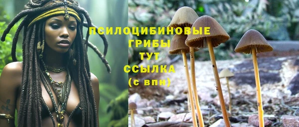 тгк Алексин